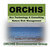 Thumb_orchis-offshore