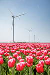 Vattenfall eröffnet 122-MW-Windpark in den Niederlanden