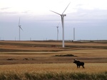 Canadian Wind Energy Association (CanWEA) congratulates new Alberta Premier-designate; wind energy poised to support Alberta’s drive for environmental leadership