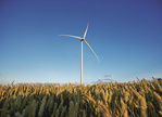 Siemens Wind Power zeigt neue D3-Anlage für starke Energieerträge bei Schwachwind