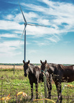 Siemens erhält Auftrag für kanadisches Windkraftwerk Grand Bend