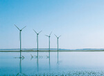 Neuer Windenergie-Auftrag für Siemens aus Südkorea