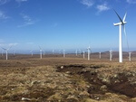 Deutsche Windtechnik wins a major new contract in Great Britain for the maintenance of 61 Siemens SWT 2.3 wind turbines 