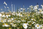 Windenergie stellt sich Regelenergiemarkt