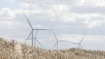 Siemens Gamesa sichert sich Onshore-Wind-Auftrag in Japan mit 74,8 Megawatt Gesamtleistung
