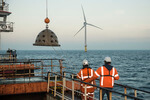 Oysters and artificial reefs for new nature development within North Sea wind farm