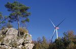 100 Megawatt-Windpark entsteht in Finnland ohne Förderung