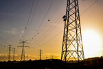 Strompreise 2020: Steigende Netzentgelte sind Kostentreiber / Höher als EEG-Umlage