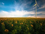 Strommarktanteile 2020: Windenergie liefert über ein Drittel des deutschen Stroms