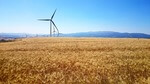 Windenergie: Sachsen bricht Koalitionsvertrag
