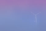 Hinweis zum neuen Runderlass „Naturschutz/Windenergie“ in Hessen 
