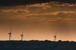 Vermarktungsoffensive Windkraft im Staatswald beschlossen