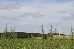 NOTUS energy nimmt 22,5 MW-Windpark in der französischen Picardie in Betrieb