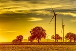 Windenergie: Trend zu mehr Genehmigungen muss sich verstetigen