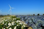 Schleswig-Holstein rechnet mit Windenergie-Rekordjahr
