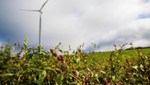 Statkraft to supply wind power to cement manufacturer OPTERRA 