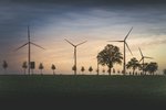 Schneller Windenergieausbau mit System: Ausbau von Windenergie gelingt nur mit Artenhilfsprogrammen