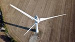 NABU: Naturschutz bremst Windenergieausbau nicht aus