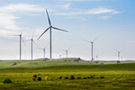 Iberdrola acquires world's largest onshore wind farm with 1,000 MW in Australia