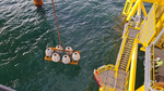 TenneT setzt künstliche Riffe in die Nähe der Offshore-Plattform Hollandse Kust (West Alpha)