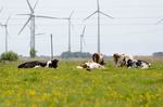 Inbetriebnahme des Windparks Mittelherwigsdorf