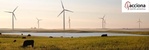 This week: Acciona Windpower North America can drive down wind energy costs