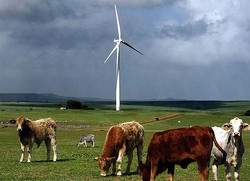 Wind power in Ireland