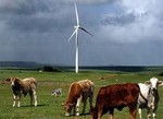 Ireland - Growing wind power activities 