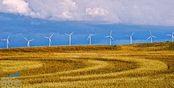 The Spanish Wind Energy Association studies legal actions against the new cuts approved by the Government
