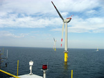 Offshore-Windenergie: Natur- und umweltverträglicher Ausbau ist möglich
