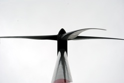 The wind farm Everswinkel consists of eight Vestas-turbines.  