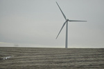 American wind power sees unprecedented growth entering 2014