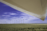 IBERDROLA Begins Turbine Assembly of its Peñascal Wind Farm Complex (USA) to 606 MW