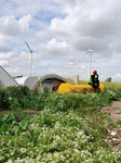 Ausbau der Windenergie im Einklang mit Artenschutzzielen möglich