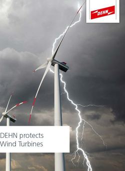 DEHN + Söhne: the "One-Stop-Shop" for Wind Turbine Protection