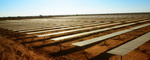 ACCIONA Energía pone en marcha la central fotovoltaica de mayor producción de África