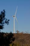 Gamesa awarded tender for turnkey construction of a 220-MW wind farm in Egypt