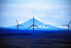 Photo Source: Iberdrola Renewables
