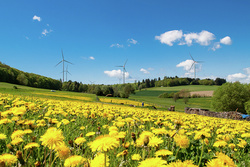 ABO Wind zählt zu den wenigen Projektierern in Deutschland, die bereits mehr als 1.000 Megawatt Windkraftleistung ans Netz gebracht haben. Der Jubiläumswindpark liegt in Weilrod im Taunus – unweit des Unternehmenssitzes.