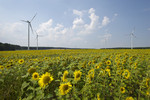 Eckpunkte zu Ausschreibungsregeln für Windkraft an Land veröffentlicht