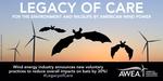 US: Wind energy industry announces new voluntary practices to reduce overall impacts on bats by 30 percent