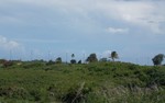 Guadeloupe: Vergnet Repowers Petite Place Wind Farm