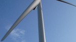 UK: RSPB and Ecotricity to build new wind turbine in green energy partnership