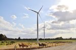 Mainstream Renewable Power recibe siete contratos estatales en Chile para construir plantas de energía eólica de un gigavatio por valor de USD $1.650 millones