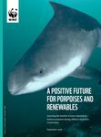 Environmental protection measures pay off – Offshore wind does not pose a threat to porpoises