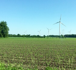 Windpark in Niedersachsen (Foto: Katrin Radtke)