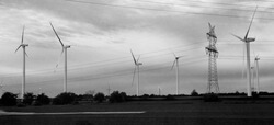 Weltweit wird Windkraft mittlerweile zur Energieversorgung eingesetzt (Foto: Katrin Radtke)