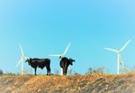 Ausbau der Windenergie in Brasilien überschreitet 10 Gigawatt-Grenze