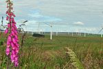 South Wales wind farm development nears completion