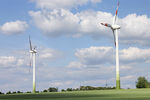 NABU legt Position zu Windenergie und Naturschutz vor